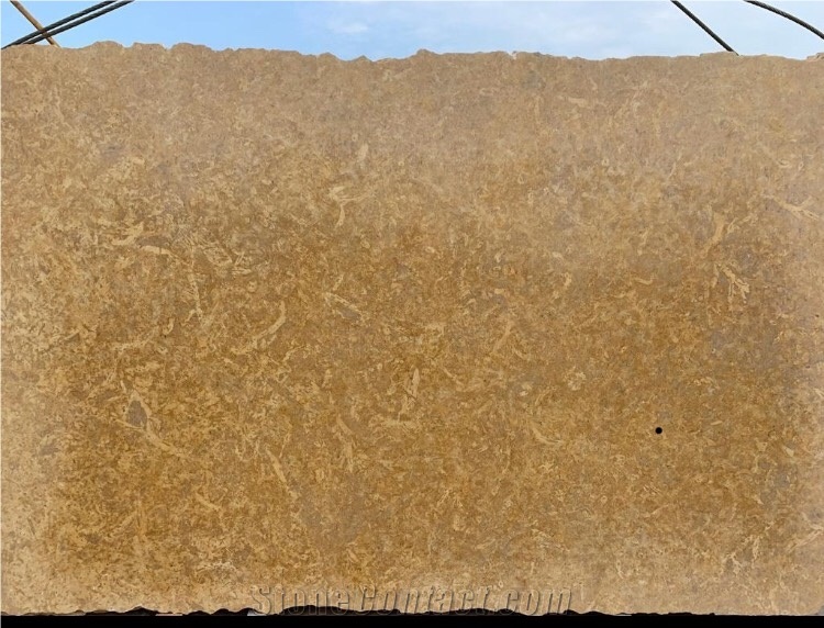 Yellow California Limestone Slabs