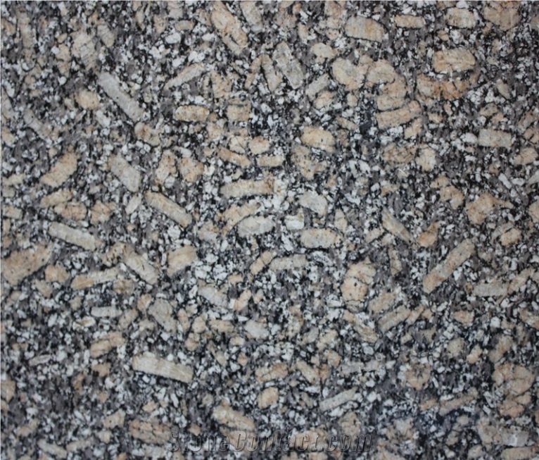 Chinese New Royal Leopard Granite Stair & Polished