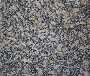 Chinese New Royal Leopard Granite Stair & Polished