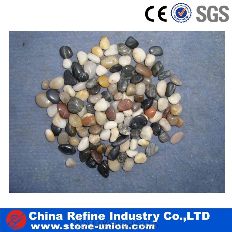 Polished Multi Color River Pebble Stones