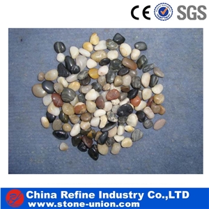 Polished Multi Color River Pebble Stones