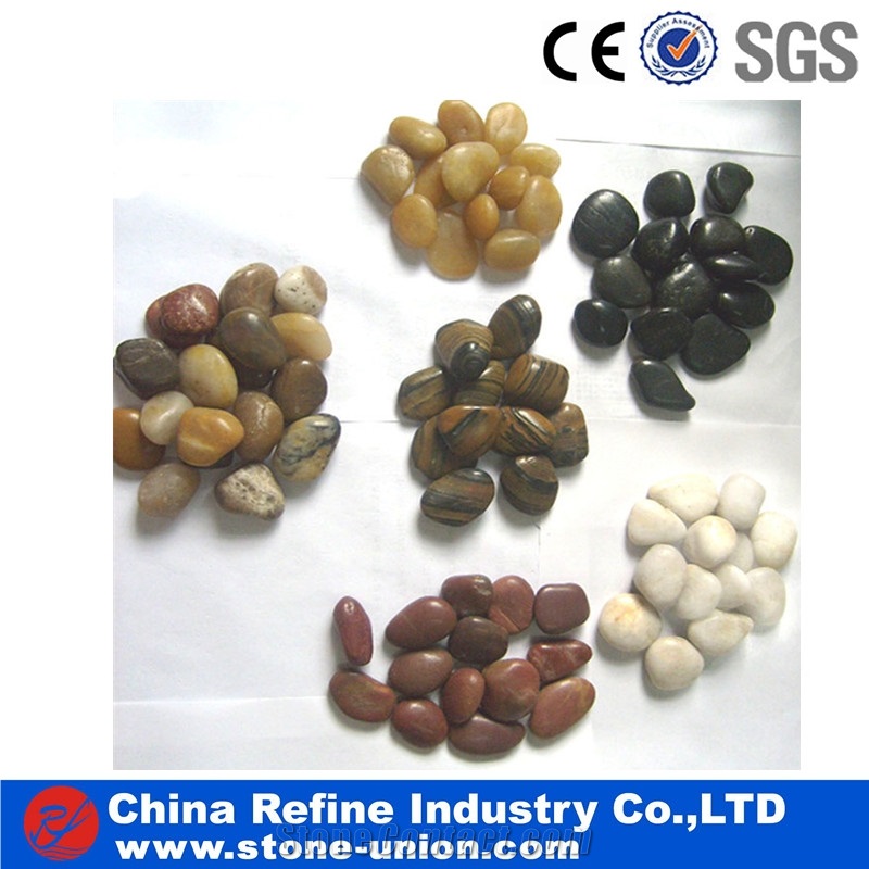 Polished Multi Color River Pebble Stones