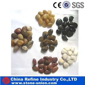 Polished Multi Color River Pebble Stones