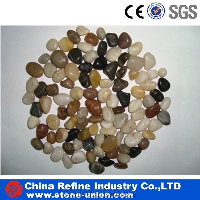 Polished Multi Color River Pebble Stones