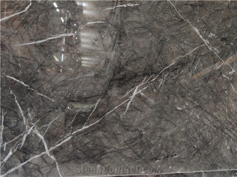 Grigio Carnico Marble Slabs