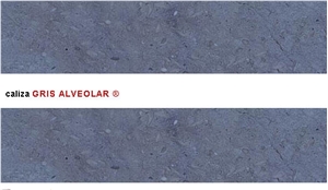 Caliza Gris Alveolar Tiles, Spain Grey Limestone Slabs