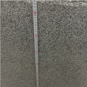 Padang Dark/Hn G654/Dark Granite Half Slab