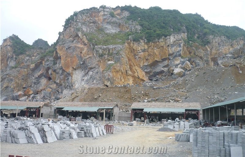 Vietnam Bluestone Crystallized Tiles Slabs