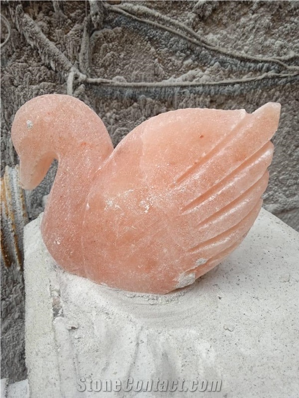 Himalayan Salt Rock Pick Salt