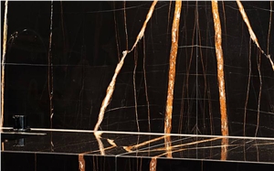 Sahara Noir Noir Aziza Laurent Black Marble Slab