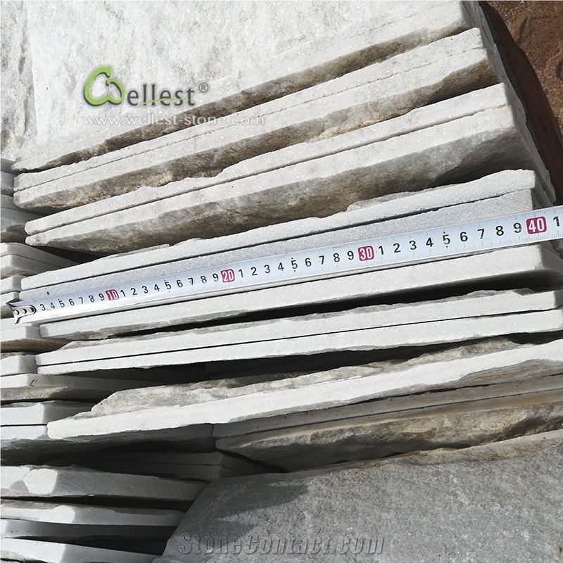 Beautiful Beige Quartzite Mushroom Stone for Wall