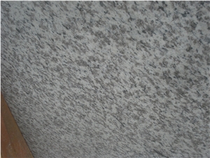 Tiger Skin White Granite 2cm Slabs Floor Tiles