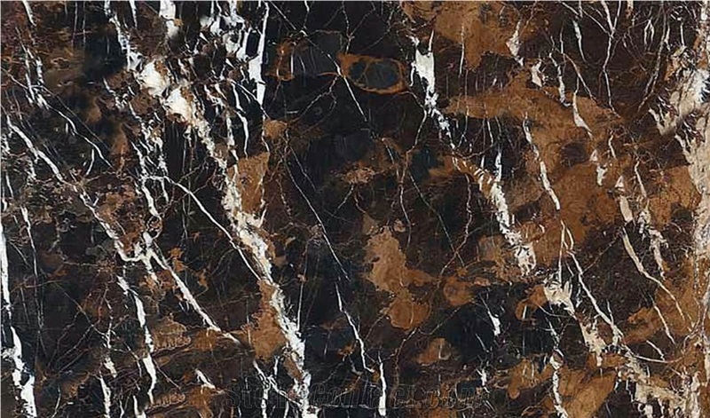 Pakistan Michelangelo Marble Brown Polished Wall
