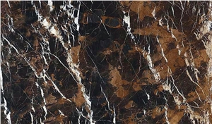 Pakistan Michelangelo Marble Brown Polished Wall