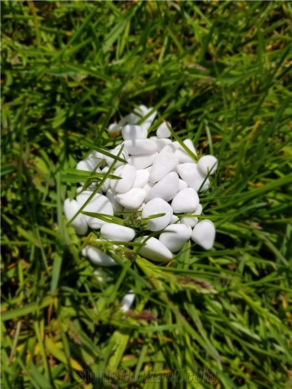 White Sparkle Pebbles 20kg Bag Only 110 Eur / Ton