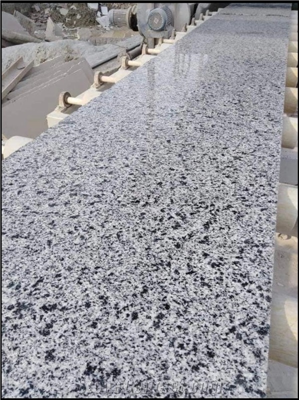 White Halaib Granite Slabs, Bianco Halayeb Granite