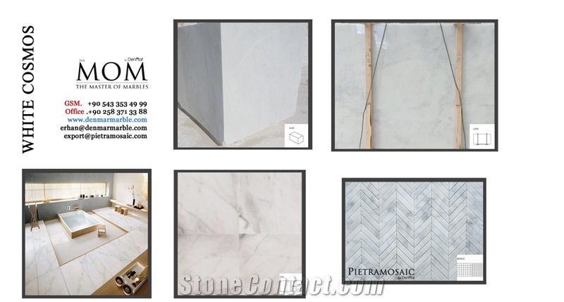 White Cosmos Marble Slabs