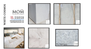 White Cosmos Marble Slabs