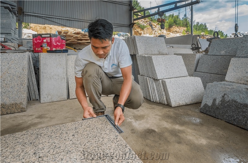V-G682 Sunset Gold Light Granite Slabs, Tiles