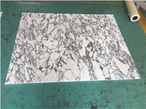 Arabescato Venato Ducale White Marble Slabs,Wall Tiles