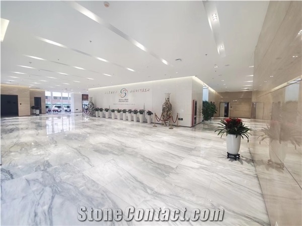 Arthemis White Venato Marble for Wall Tile