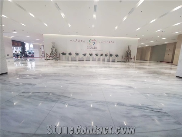 Arthemis White Venato Marble for Wall Tile