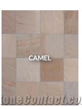 Camel Sandstone Pavers Camel Sandstone Pavers