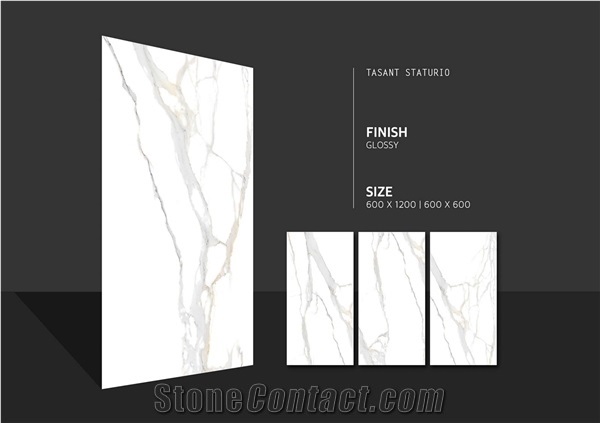 Rectified Porcelain Tile