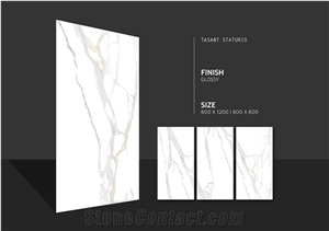 Rectified Porcelain Tile
