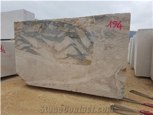 Breccia Oniciata Blue Marble Block 194