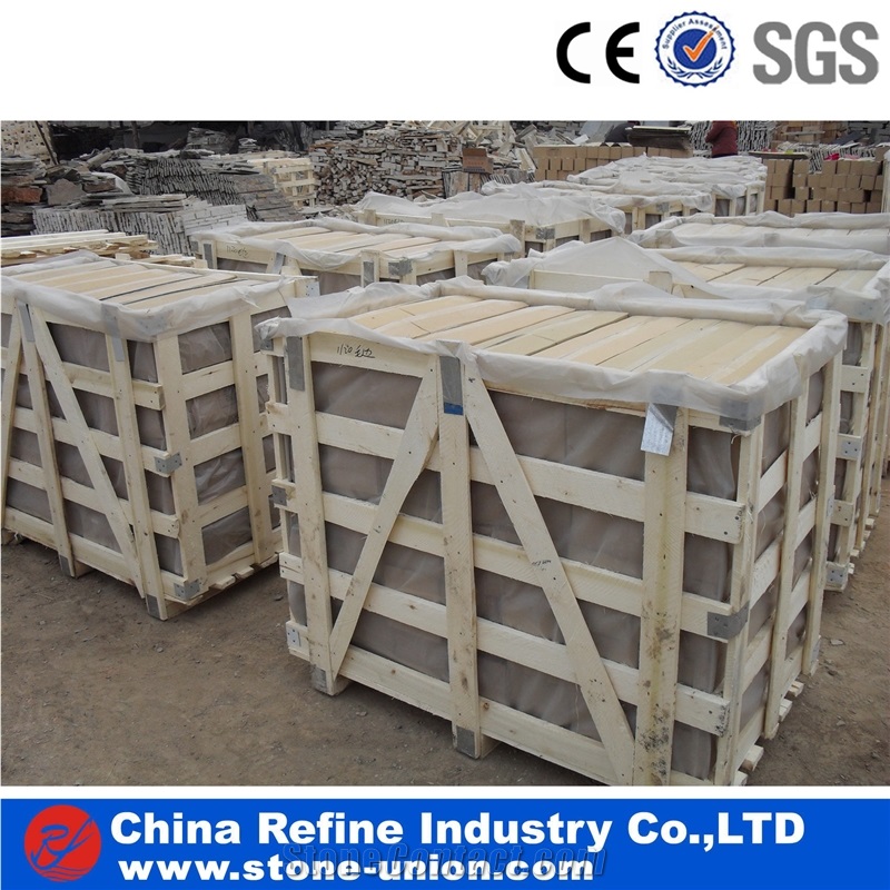 Multi Color Sandstone Veneer, Wall Cladding Panel