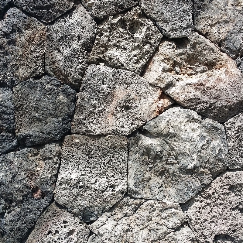 Natural Face Mushroom Face Black Lava