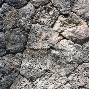 Natural Face Mushroom Face Black Lava