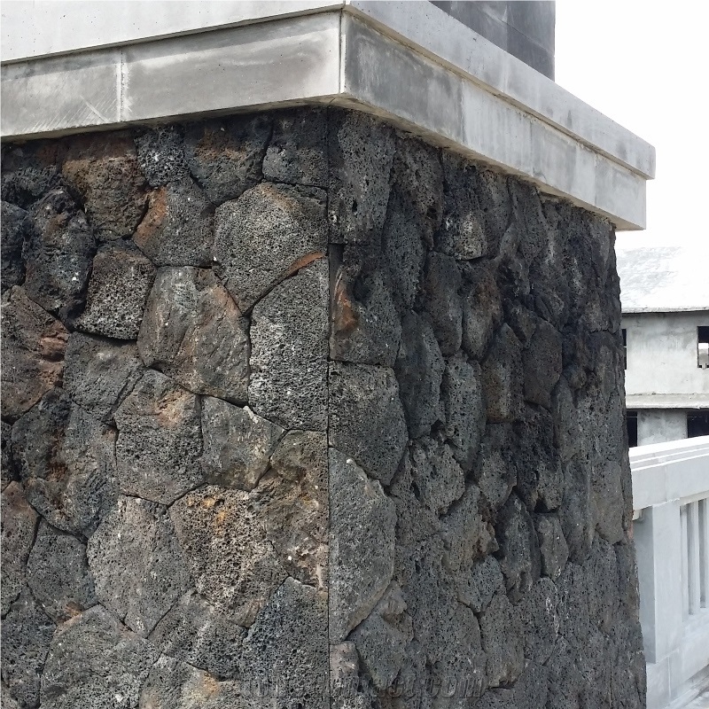 Natural Face Mushroom Face Black Lava