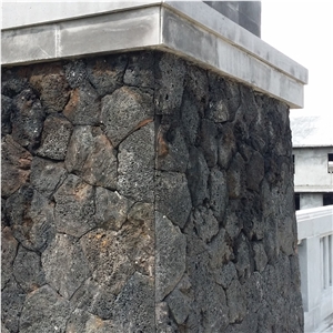 Natural Face Mushroom Face Black Lava