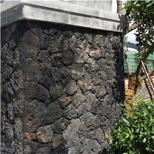 Natural Face Mushroom Face Black Lava