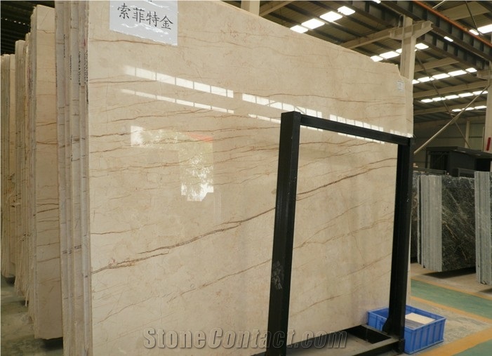 Sofitel Gold Marble Gold Vein Polished Tile Slab