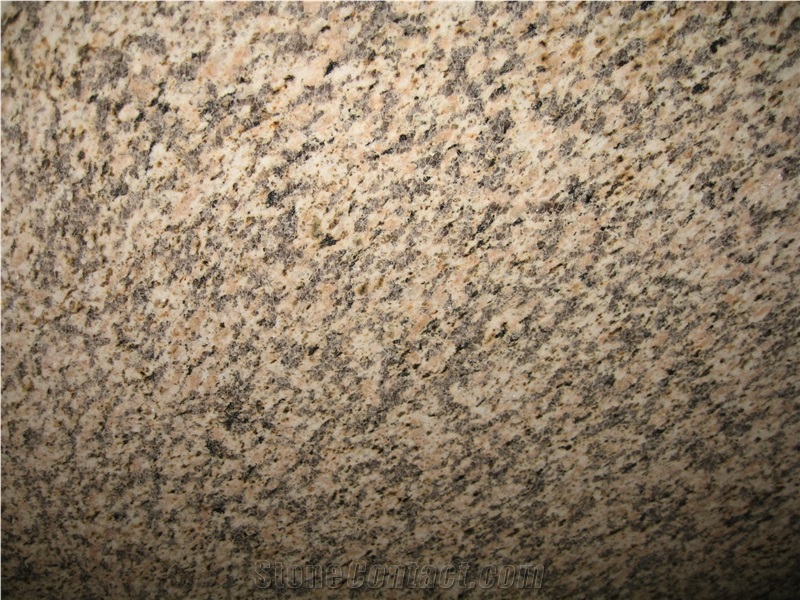 Tiger Skin Yellow Granite Slab Tiles