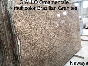 Giallo Real Granite Slabs