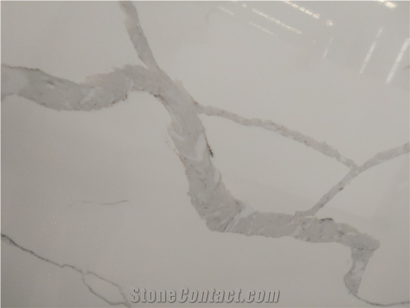 Artificial White Calacatte Quartz Slabs Silestone