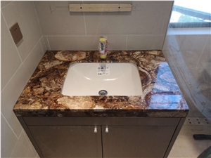 Interior Unique Design Petrified Wood Vanitytop
