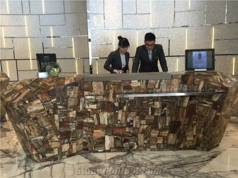 Interior Unique Design Petrified Wood Vanitytop