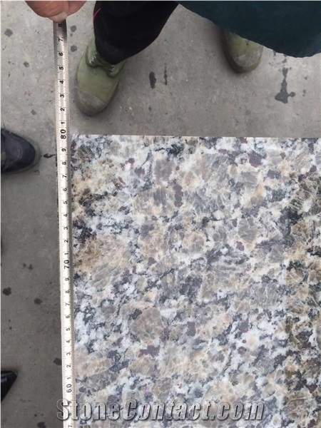 Golden Brazil Butterfly Yellow Granite Tile Slab Floor