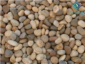 Hot Sale for Brown Pebble Stones from Asc