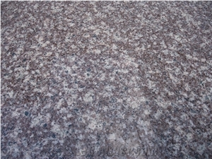 G664 Red Granite Chinese Rosa Porrino Tile Slab