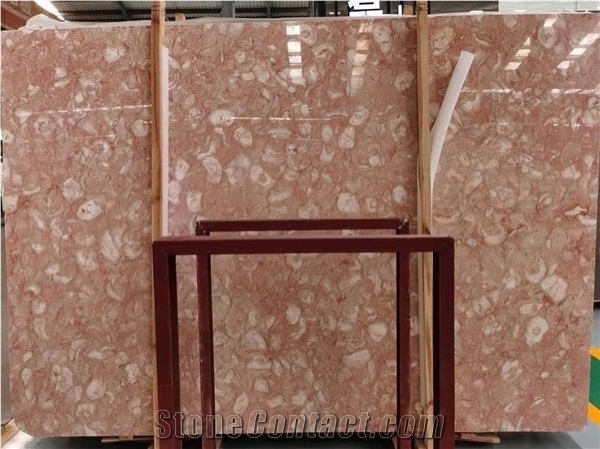 Polished Fosilius Pink Limestone Slab