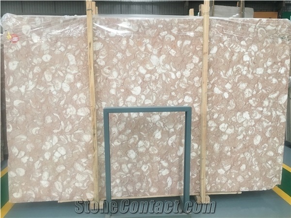 Polished Fosilius Pink Limestone Slab