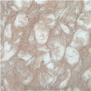 Polished Fosilius Pink Limestone Slab