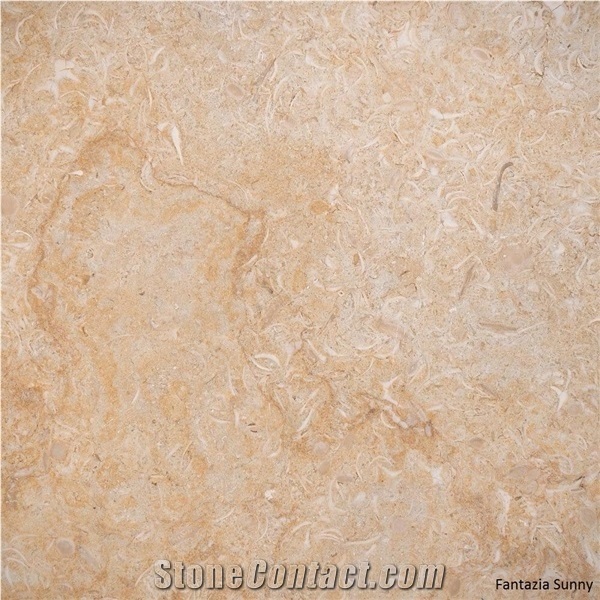 Sunny Menia Marble Slabs