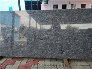 Lavender Blue Granite Slab